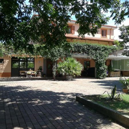Guesthouse Skofije Ob Parenzani Spodnje Skofije Exteriér fotografie