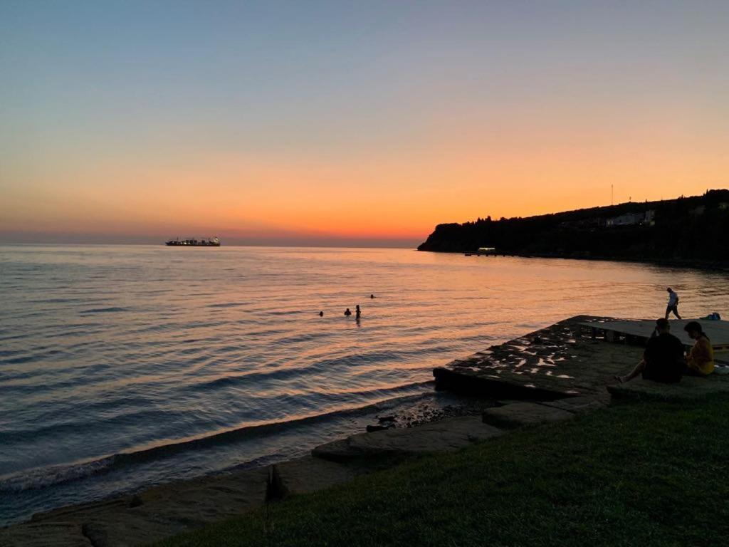 Guesthouse Skofije Ob Parenzani Spodnje Skofije Exteriér fotografie